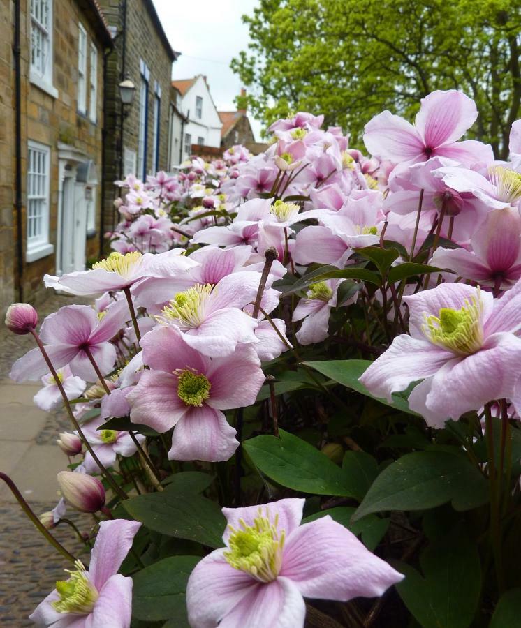 Aldersyde Bed & Breakfast Robin Hood's Bay Dış mekan fotoğraf
